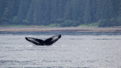 Icy Strait Point (Hoonah), AK