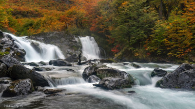 Fall(s) color along the De las Vueltas