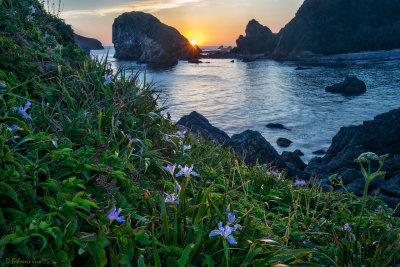 Harris Beach SP, Oregon