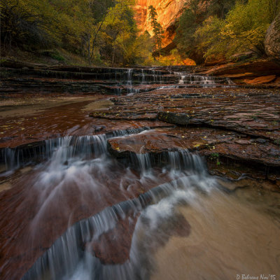 Archangel Cascades, Zion NP