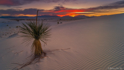 Sun Down at White Sands