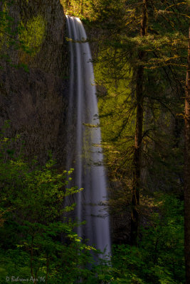 Peekaboo Latourell Falls, Oregon