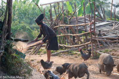 Laos (Phongsali) - Akha Erpa Woman With Pigs & Chickens