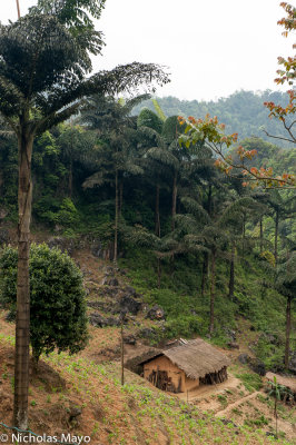 Vietnam (Ha Giang) - Old Farmhouse