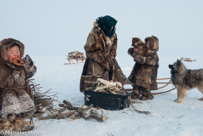 Russia (Yamalo-Nenets) - Siberian Tundra Family & Dogs 