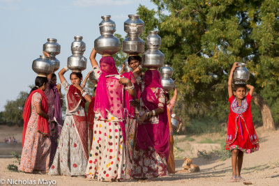 India (Rajasthan) - The Water Carriers