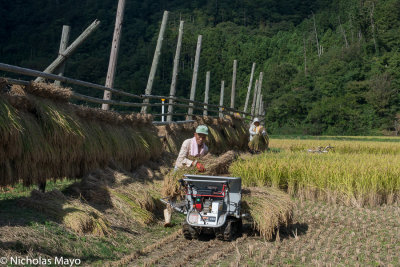 Japan (Chugoku) - Farmers & Rice Drying Racks