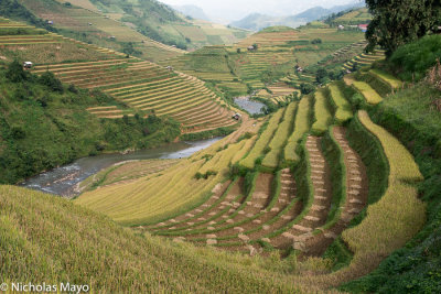 Bhutan : Burma : India : Japan : Taiwan : Vietnam (2015)