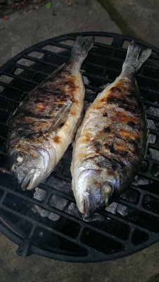 BBQ Sea Bream at Grasshopper Cottage