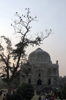 0006 Lodi Gardens, Delhi.jpg