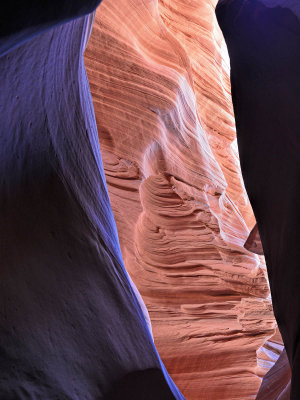 J71_8997e.jpg