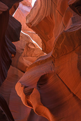J71_9020e.jpg