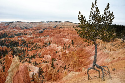 Bryce Canyon National Park, Nov 19, 2013