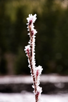 J71_0294p.jpg