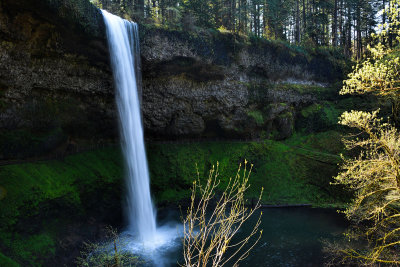 Silver Falls State Park, Oregon, April 2015