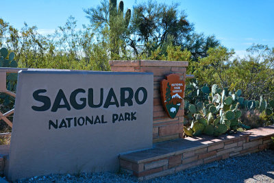 Saguaro National Park, Eastern Section, Nov 2015