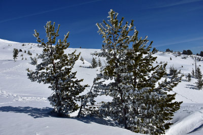 J72_0083p.jpg