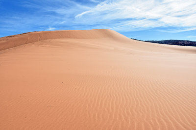 Coral Pink Sand Dunes State Park and Red Canyon, Utah, USA
