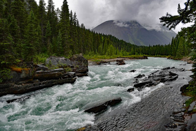 JT5_2627p.jpg