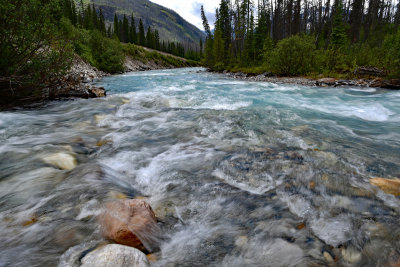 Kootenay National Park, July 2016
