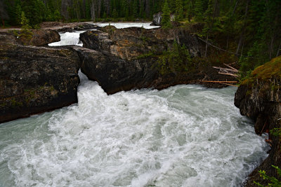 Yoho National Park, July 2016