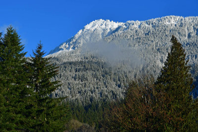 JT5_0083p.jpg