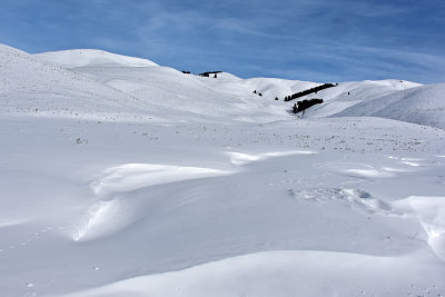 J72_5537p.jpg