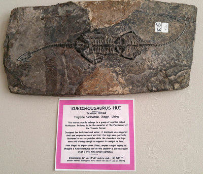 Kueichousaurus Hui - 1p.jpg