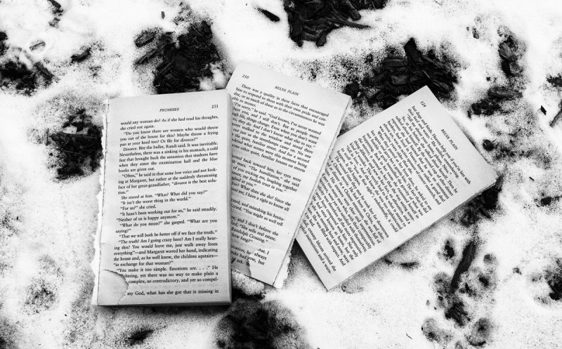 Abandoned Book