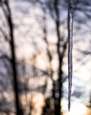 Icicle