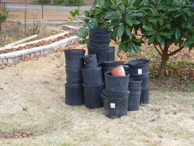 Empty pots - they used to hold daylilies