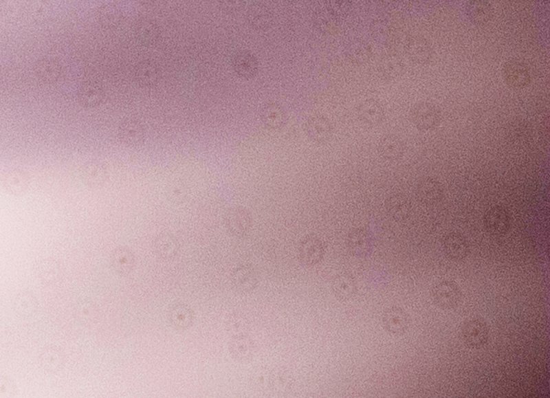 Sensor_edit.jpg