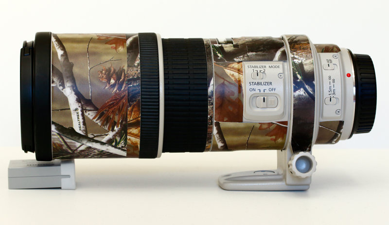 300mm f/4L IS
