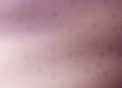 Sensor_edit.jpg