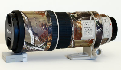 300mm f/4L IS