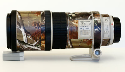 300mm f/4L IS