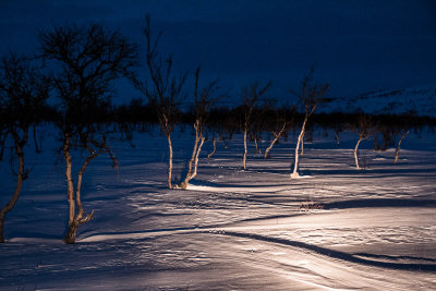 Night driving