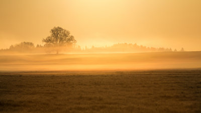 Field near Albu early in the morning