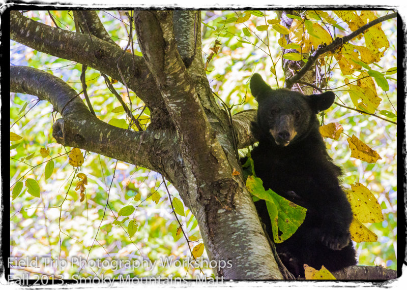 CMB_0454-Edit-2.jpg