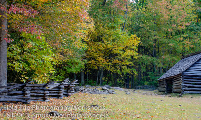Angela 20131023-DSC_3618_19_20HDRx.jpg
