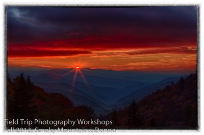 Donna 5B6A9549_HDR-Edit-Edit-2.jpg