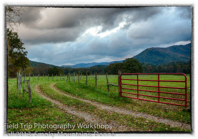 Donna 5B6A9964_HDR-Edit.jpg