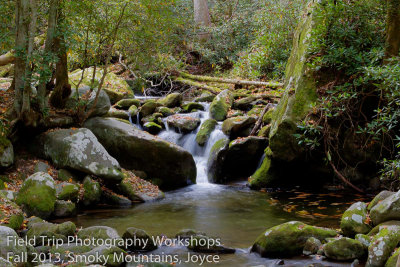 Joyce Little falls.jpg