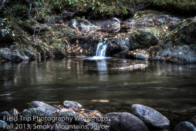 Joyce Puddle pond2.jpg