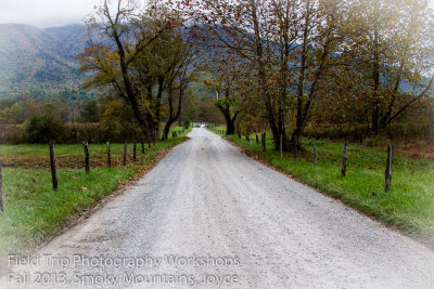 Joyce The Road.jpg
