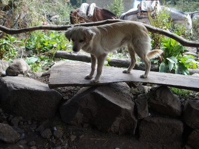 Trek to Colpa Lodge - Do you want help with your snacks?