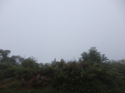Trek to Aquas Calientes - Clouds so no view of Machu Picchu