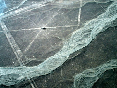 Nazca Line - Whale