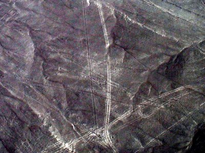 Nazca Line - Dog