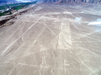 Nazca Line - Condor